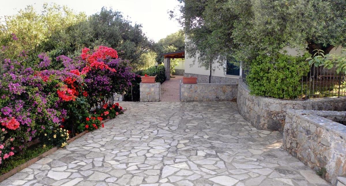 Seamoon Residence Marina di Camerota Εξωτερικό φωτογραφία